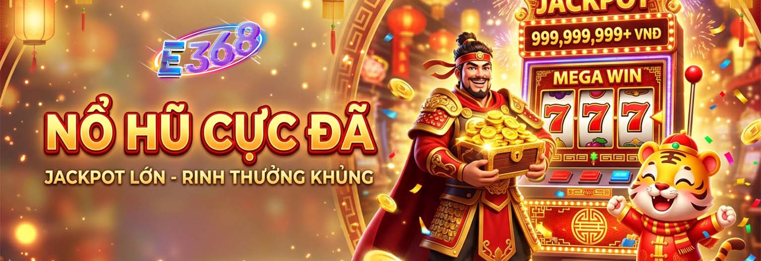 banner e368 3